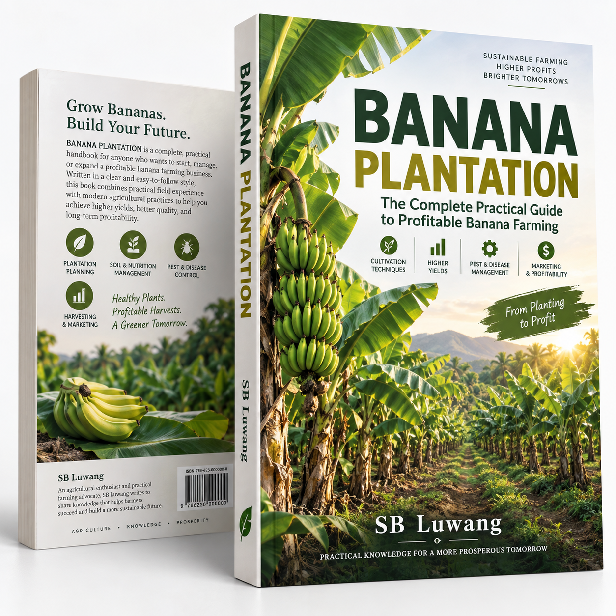Banana Plantation: The Complete Practical Guide to Profitable Banana Farming